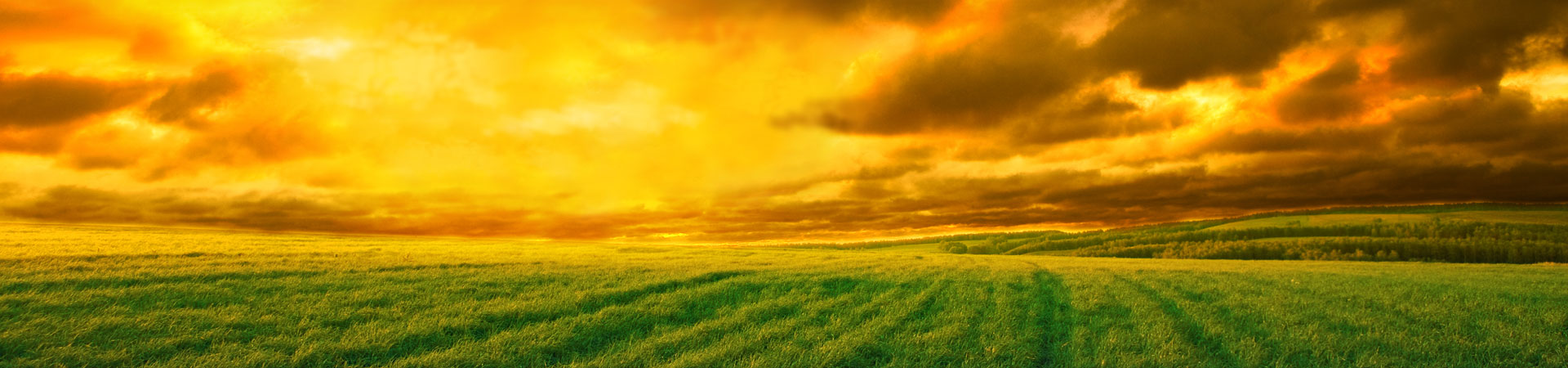 Slide background